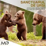 Mohost Sabina - Signature Retreat With Balcony ブラショフ