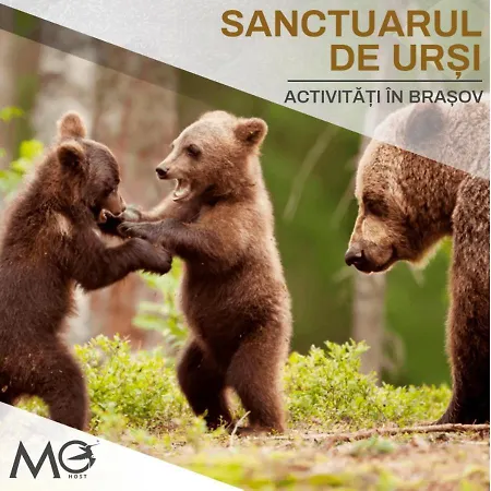 Mohost Nobel - Signature Retreat 브라쇼브