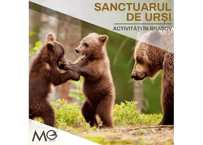 Mohost Sabina - Signature Retreat With Balcony Брашов